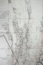 Map detail